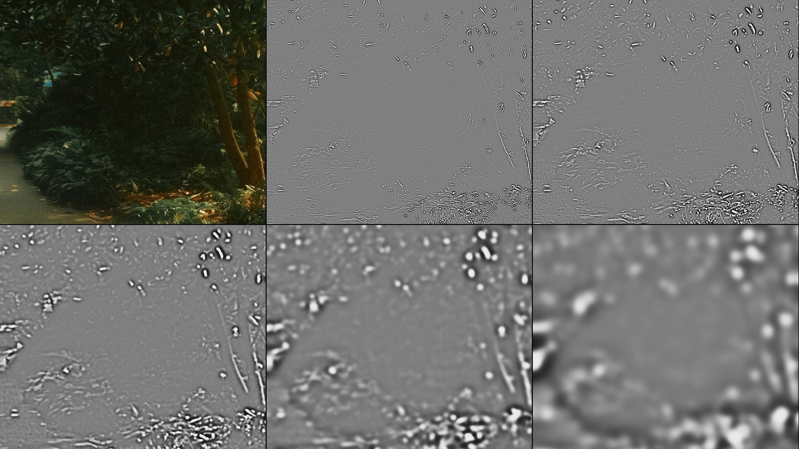 Reference for Sharpness: Photograph, then five bands and Fine to coarse