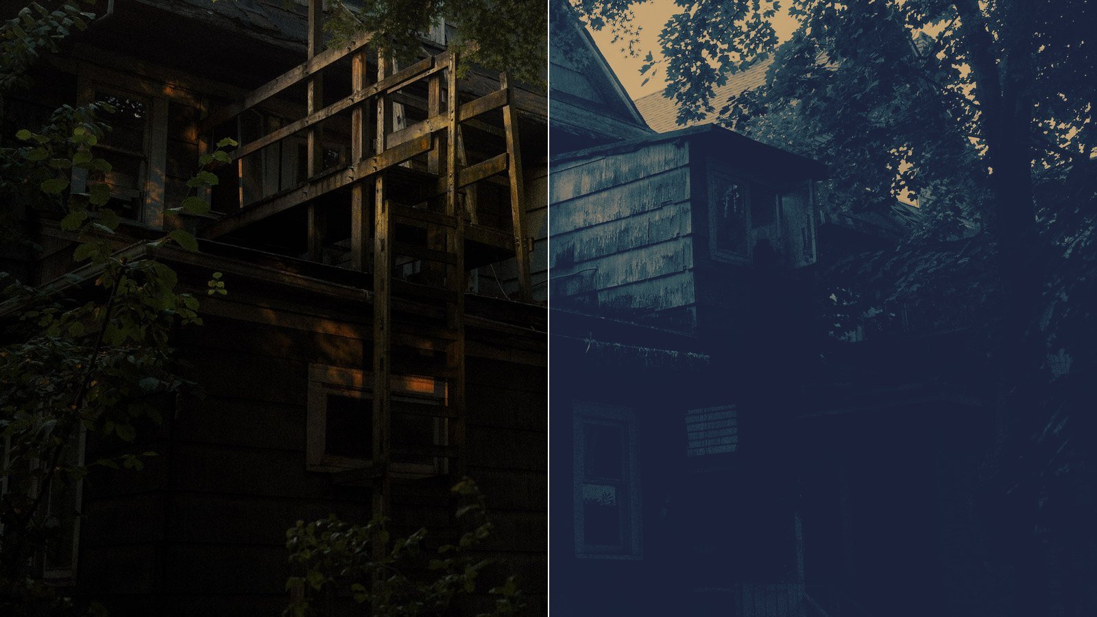 Reference for Tone: Photograph and Tonal zones
